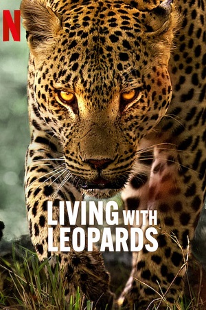 Download Living with Leopards (2024) {English with Subtitles} Full Movie WEB-DL 480p [200MB] | 720p [570MB] | 1080p [1.3GB]