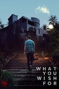 Download What You Wish For (2023) Dual Audio {Hindi-English} Esubs Bluray 480p [350MB] | 720p [930MB] | 1080p [2.1GB]