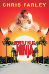 Beverly Hills Ninja