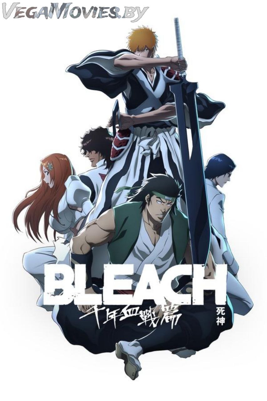 Download Bleach: Thousand-Year Blood War (Season 1 – 3) Complete MulTi Audio {Hindi-English-Japanese} Anime Series 1080p | 720p WEB-DL