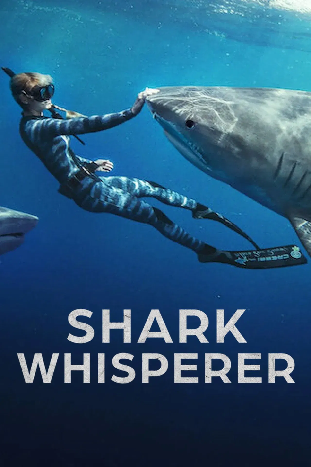Download Shark Whisperer (2025) WEB-DL NF Dual Audio {Hindi-English} 480p [250MB] | 720p [970MB] | 1080p [1.9GB]